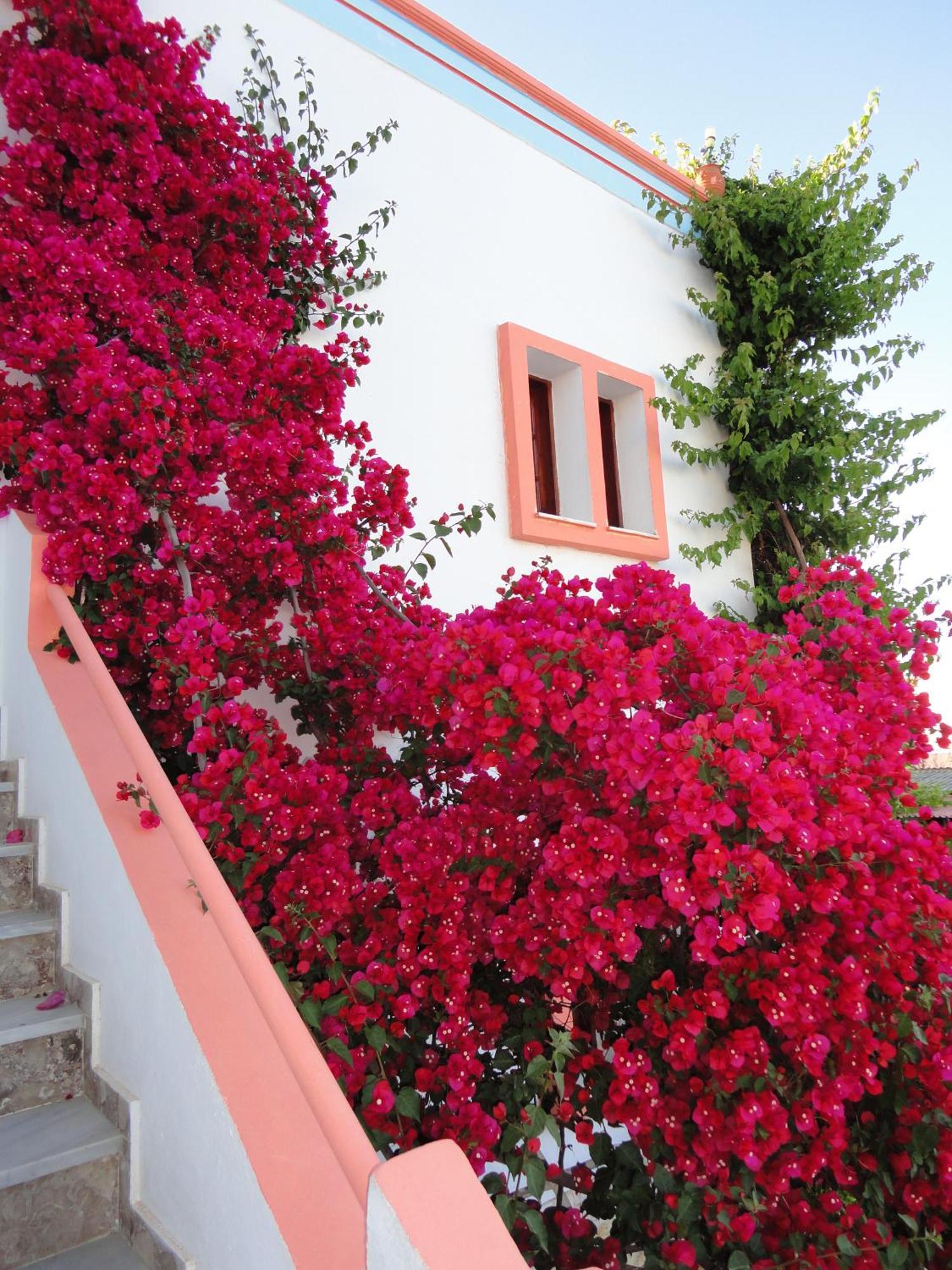 Villa Elizea Stalós Exterior foto