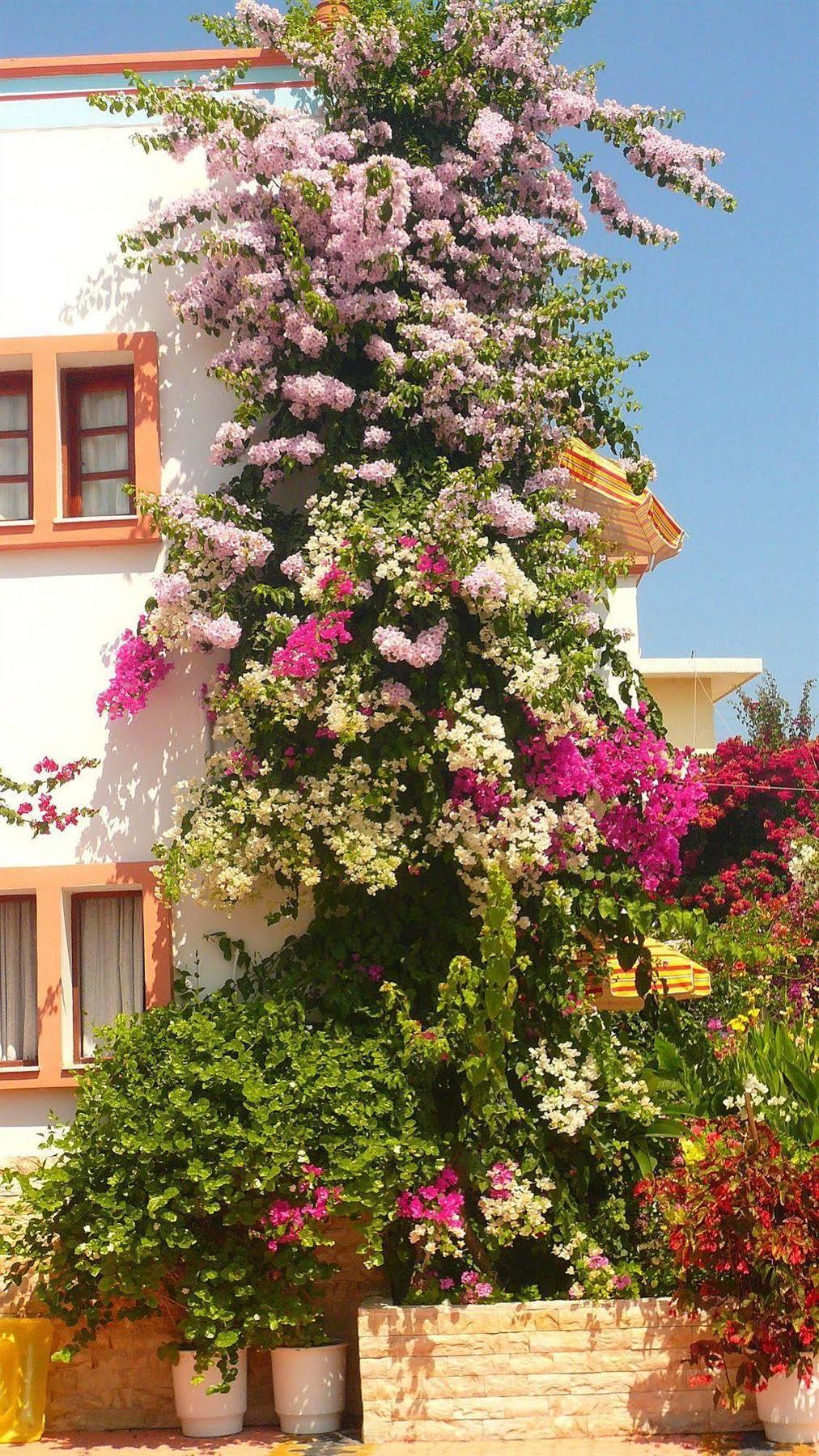Villa Elizea Stalós Exterior foto